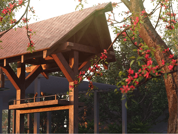 Green bird feeding lawn at Moonglade community