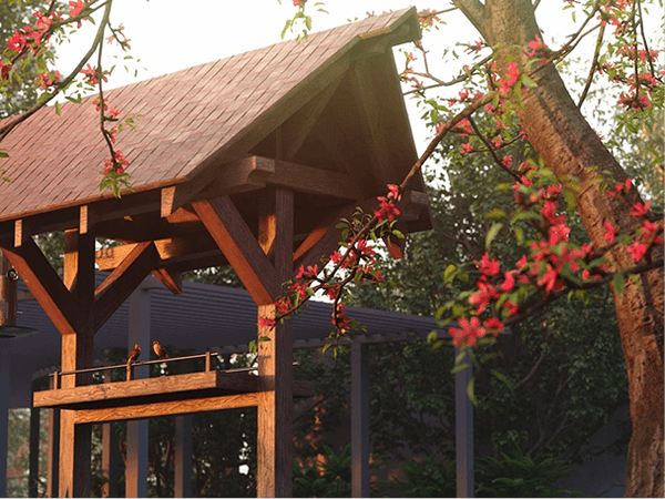 Green bird feeding lawn at Moonglade community